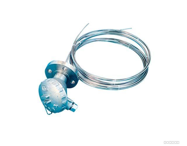 鎧裝熱電（diàn）阻